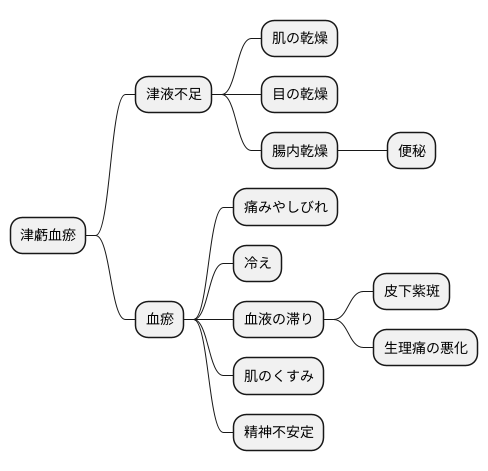 津虧血瘀の症状