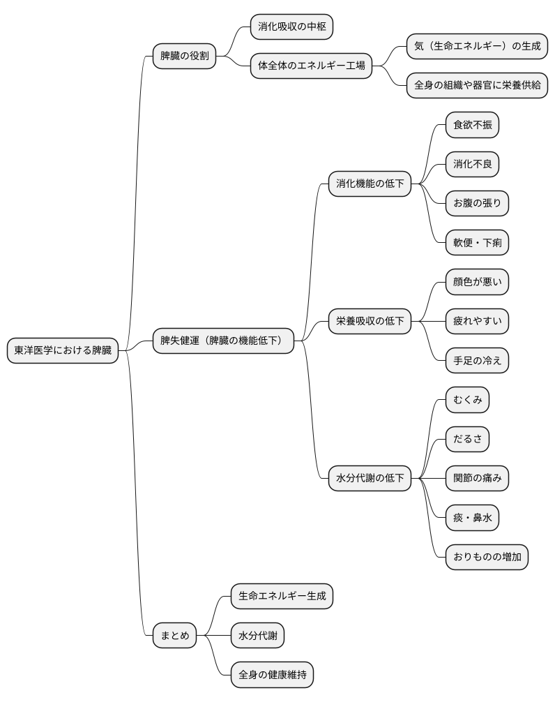 脾臓の働きと不調