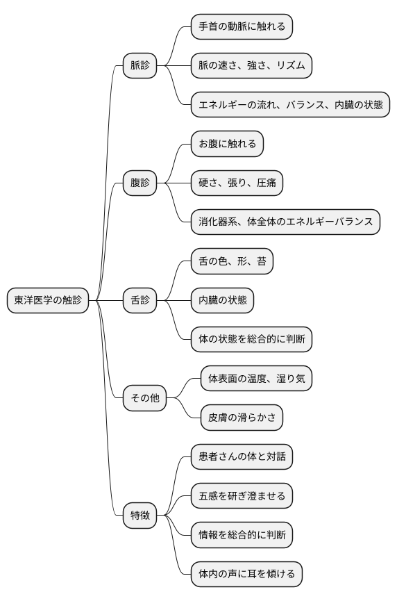 触診とは何か