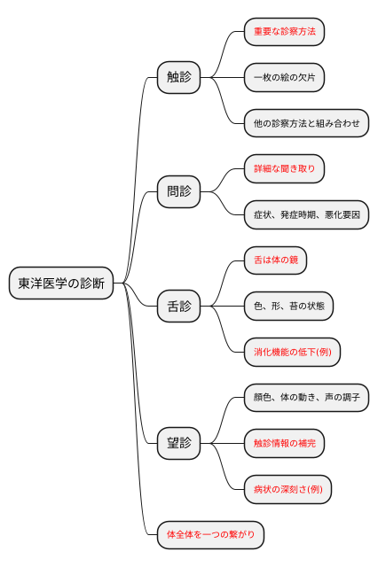 触診と他の診察法との連携