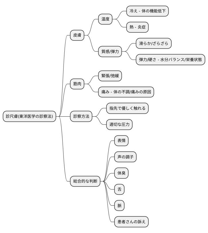 診察の実際