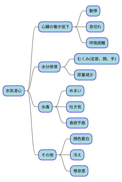 水気凌心の症状