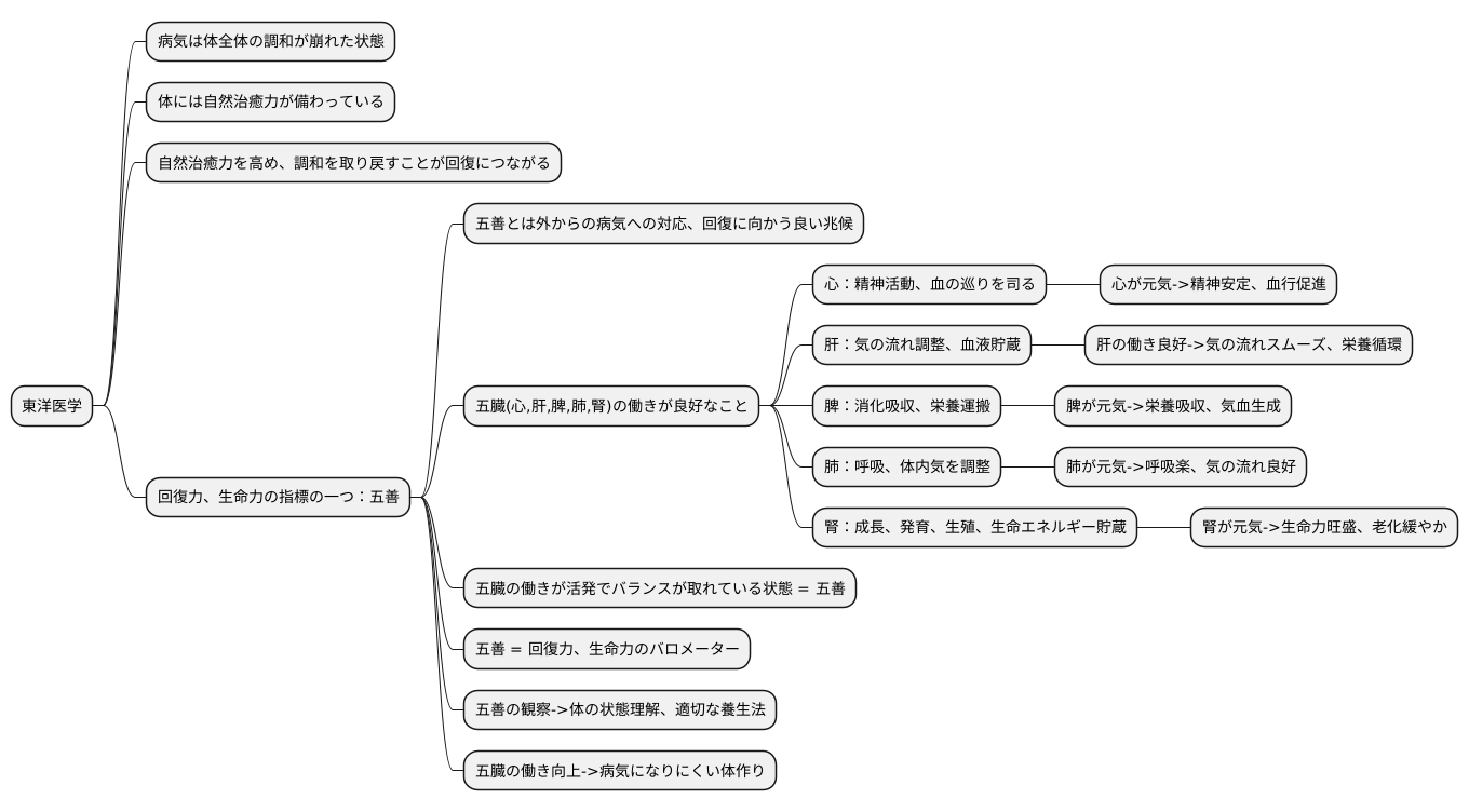 五善とは何か