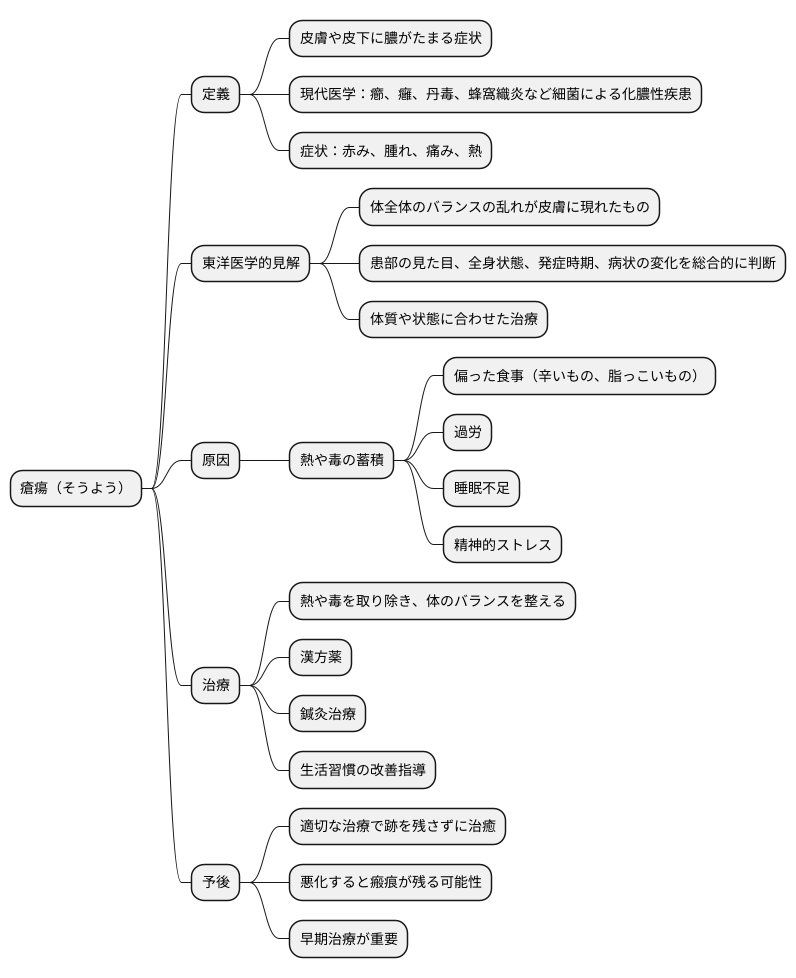 瘡瘍とは何か