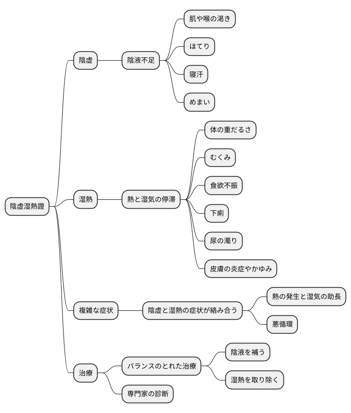 陰虚湿熱證とは