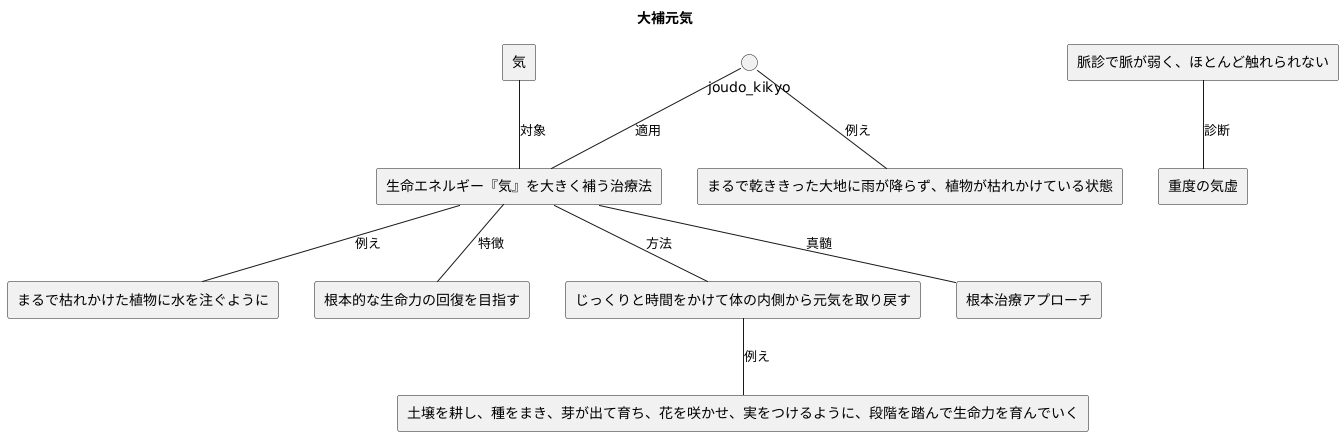 大補元気とは