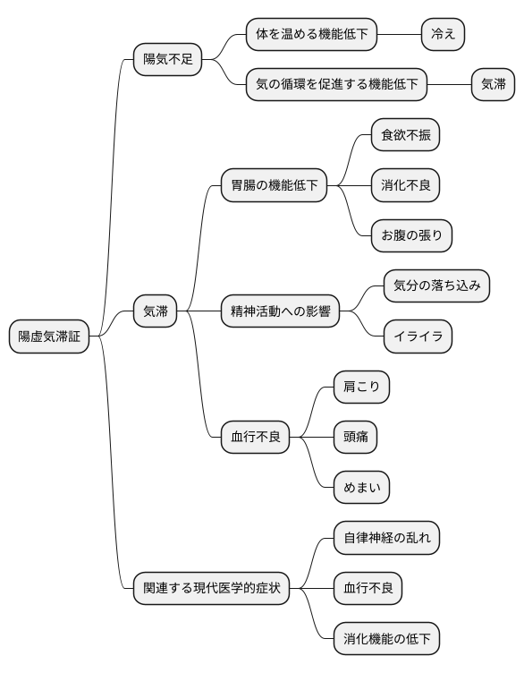 陽虚気滞証とは