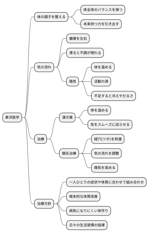 東洋医学的治療