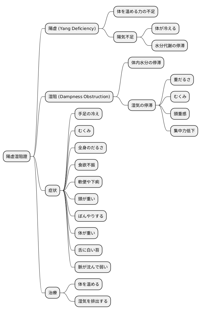 陽虚湿阻證とは