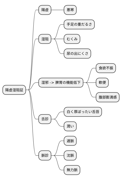 主な症状