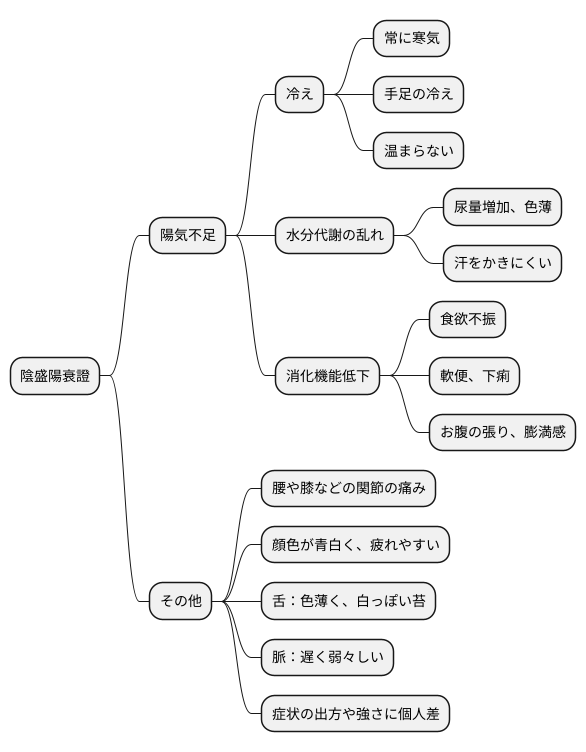陰盛陽衰證の症状