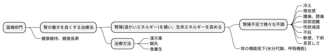 温補命門の目的