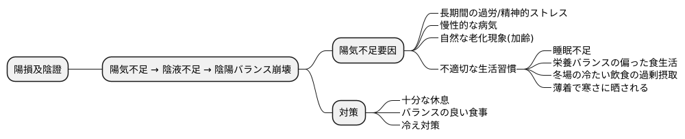 陽損及陰證の原因