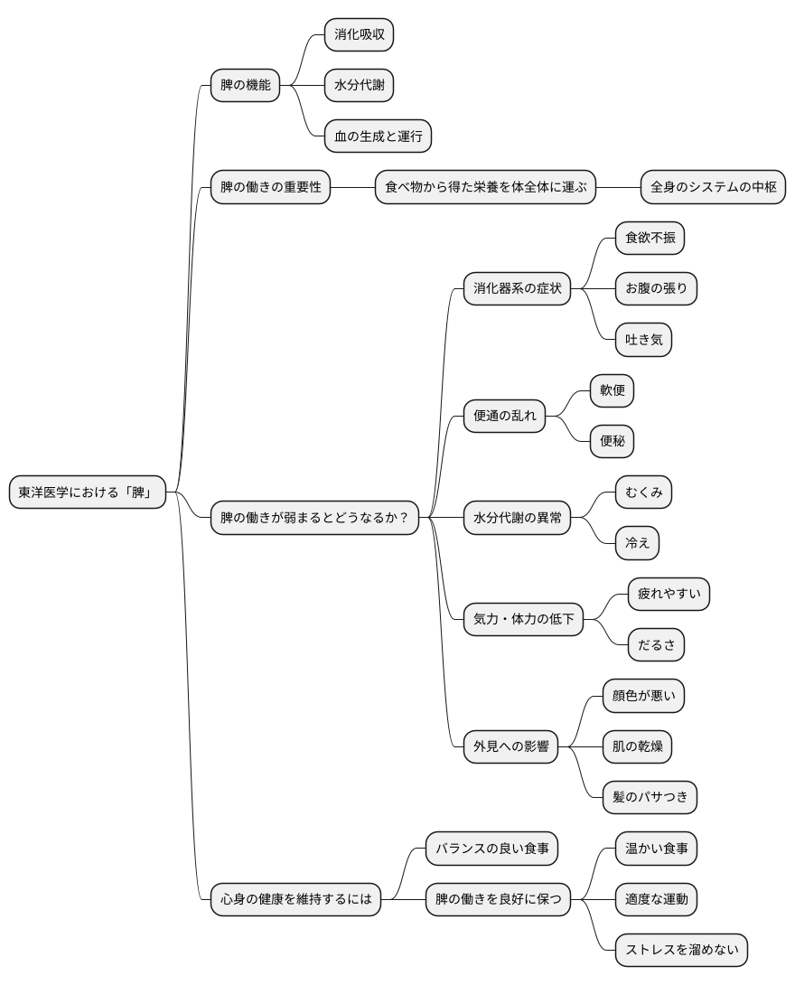 脾と健康の関係
