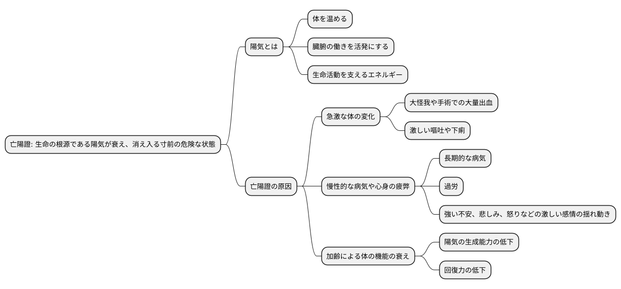 亡陽證の原因