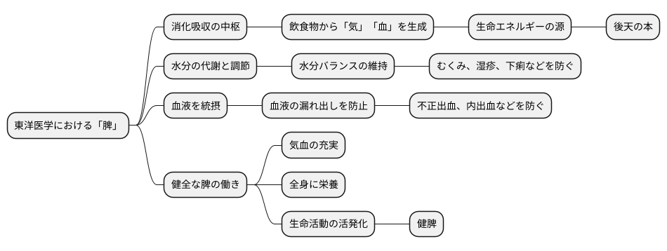 脾の役割