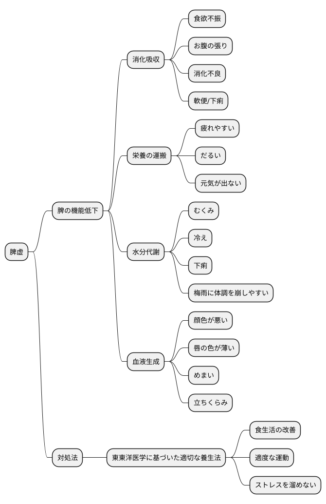 脾虚とは何か