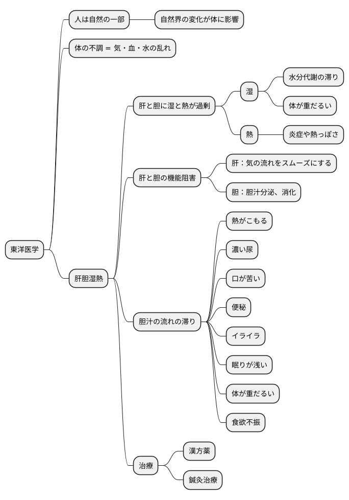 肝胆湿熱の概要