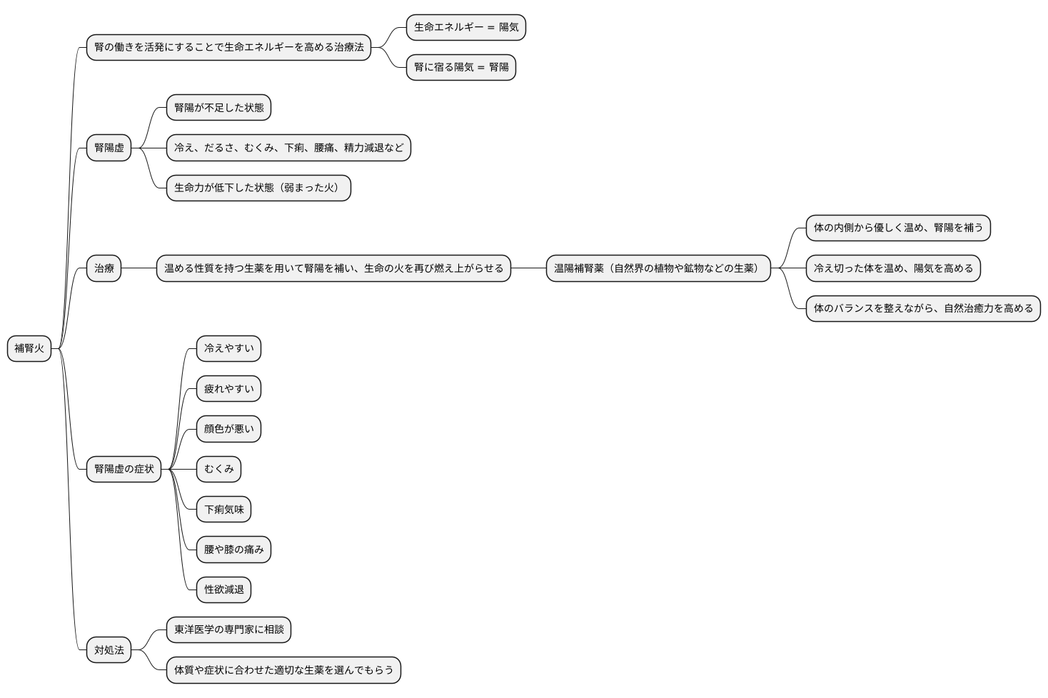 補腎火で陽気を補う